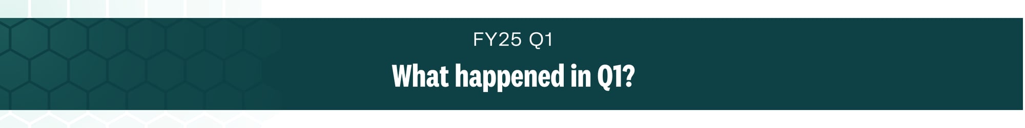 FY25 Q1 - What happened in Q1