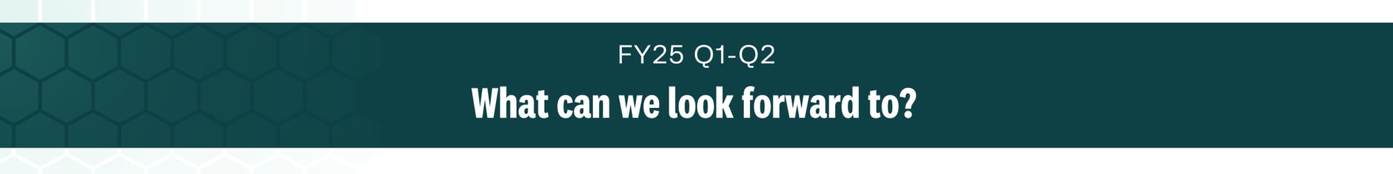 FY25 Q1-Q2 What can we look forward to