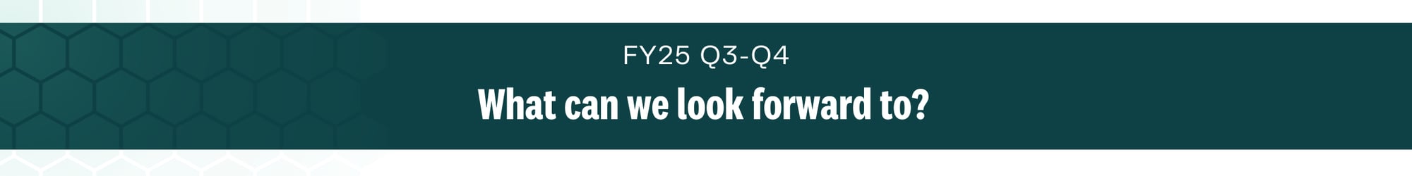 FY25 Q3-Q4 What can we look forward to